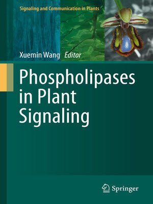 cover image of Phospholipases in Plant Signaling